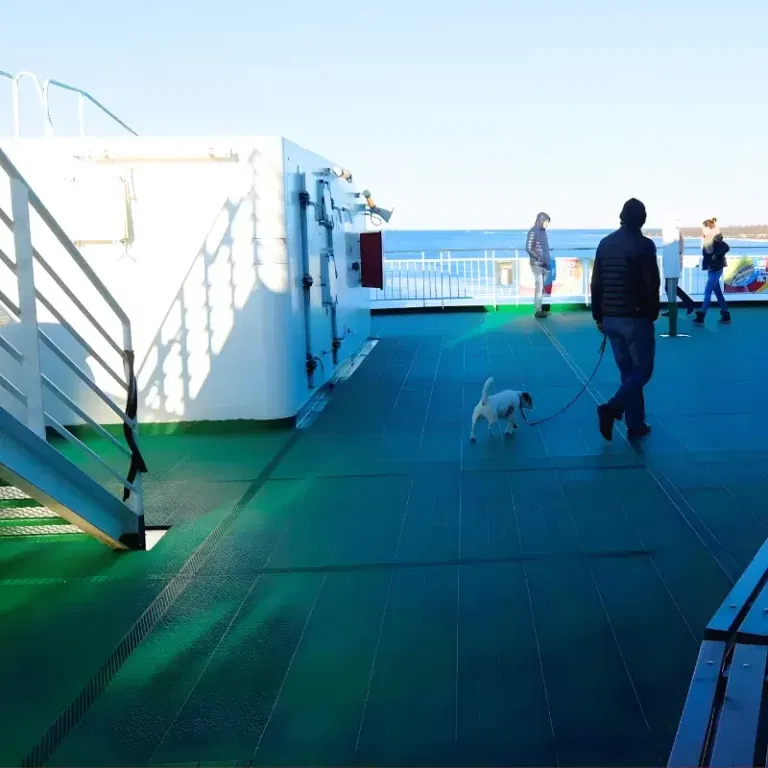 Keltų bilietai su gyvūnu