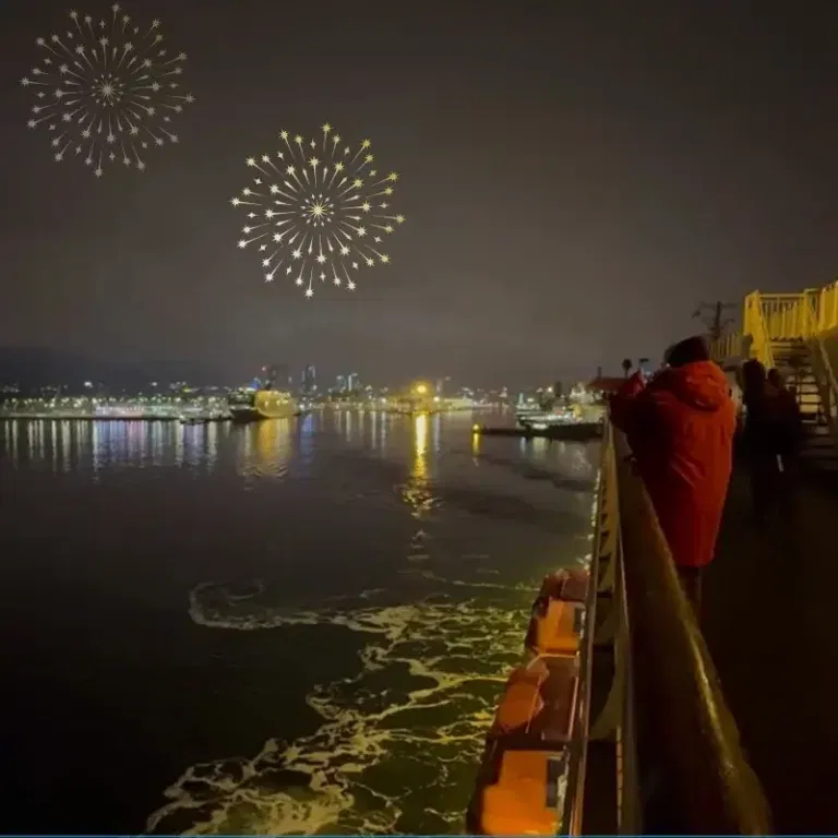 Naujametiniame kruize